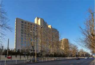 徐汇区好习惯冬令营项目